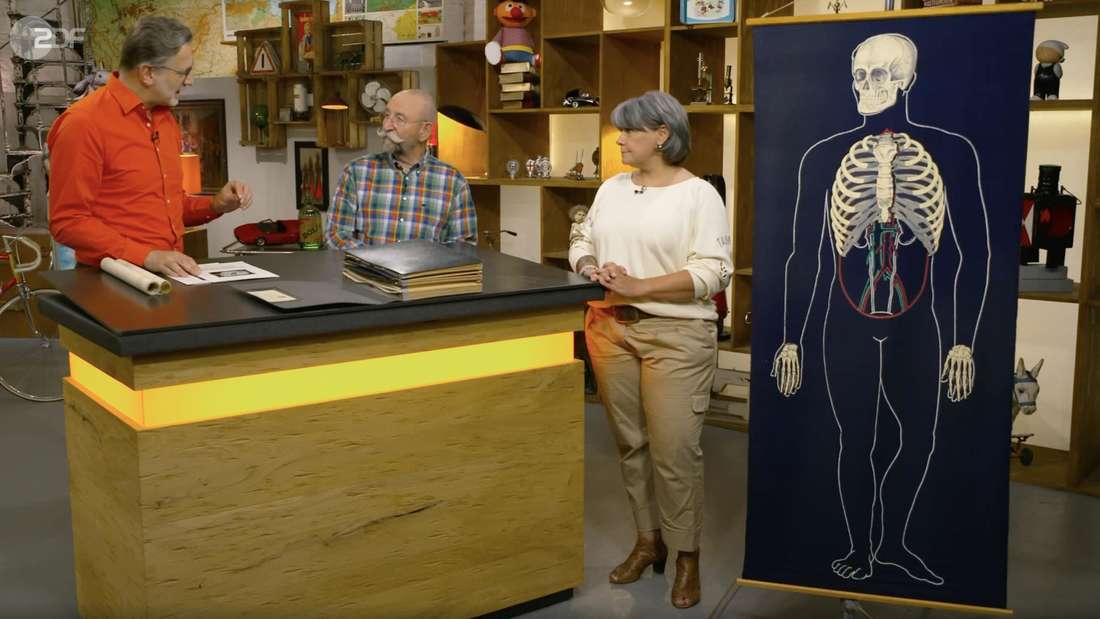 Lehrerin Constance Trefflich verkaufte in der ZDF-Sendung „Bares für Rares“ zwei ausgediente Unterrichtsmaterialien aus ihrer Schule, unter anderem eine Rolltafel. 