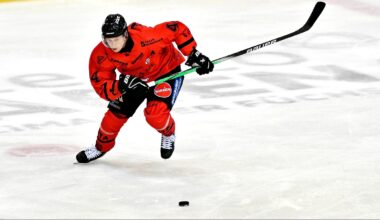 Füchse Duisburg zeigen gute Reaktion