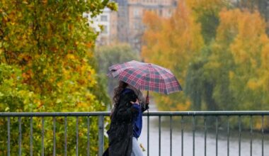 Nebel und Regen – auch in Brandenburg