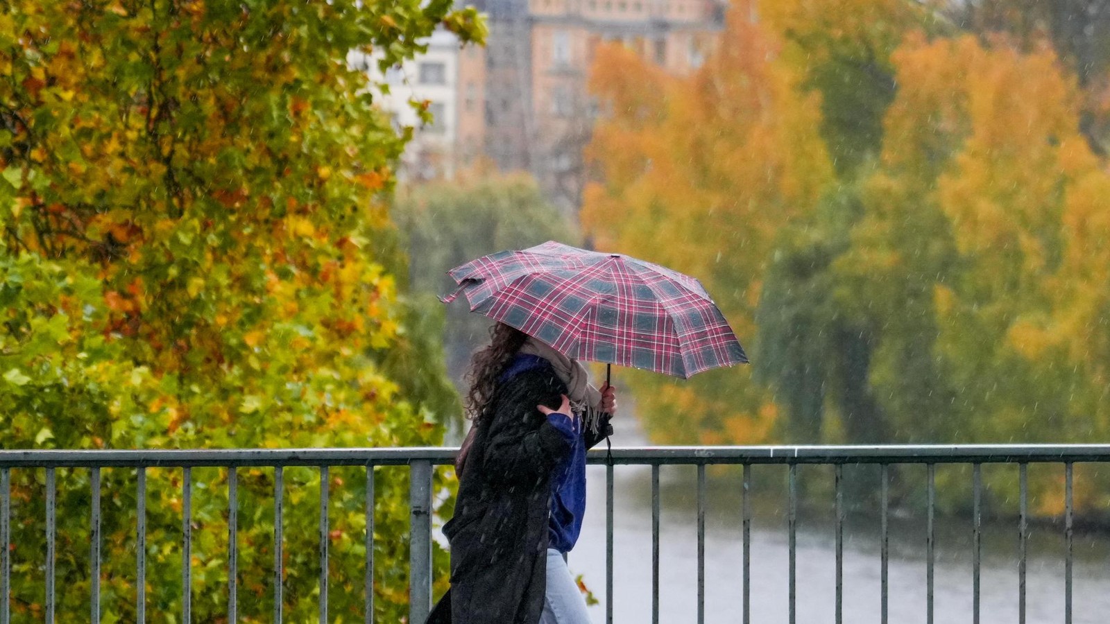 Nebel und Regen – auch in Brandenburg