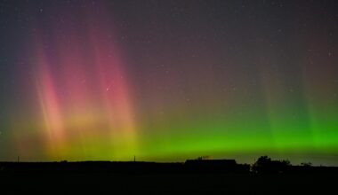 Expertin verrät, wie die Chancen stehen