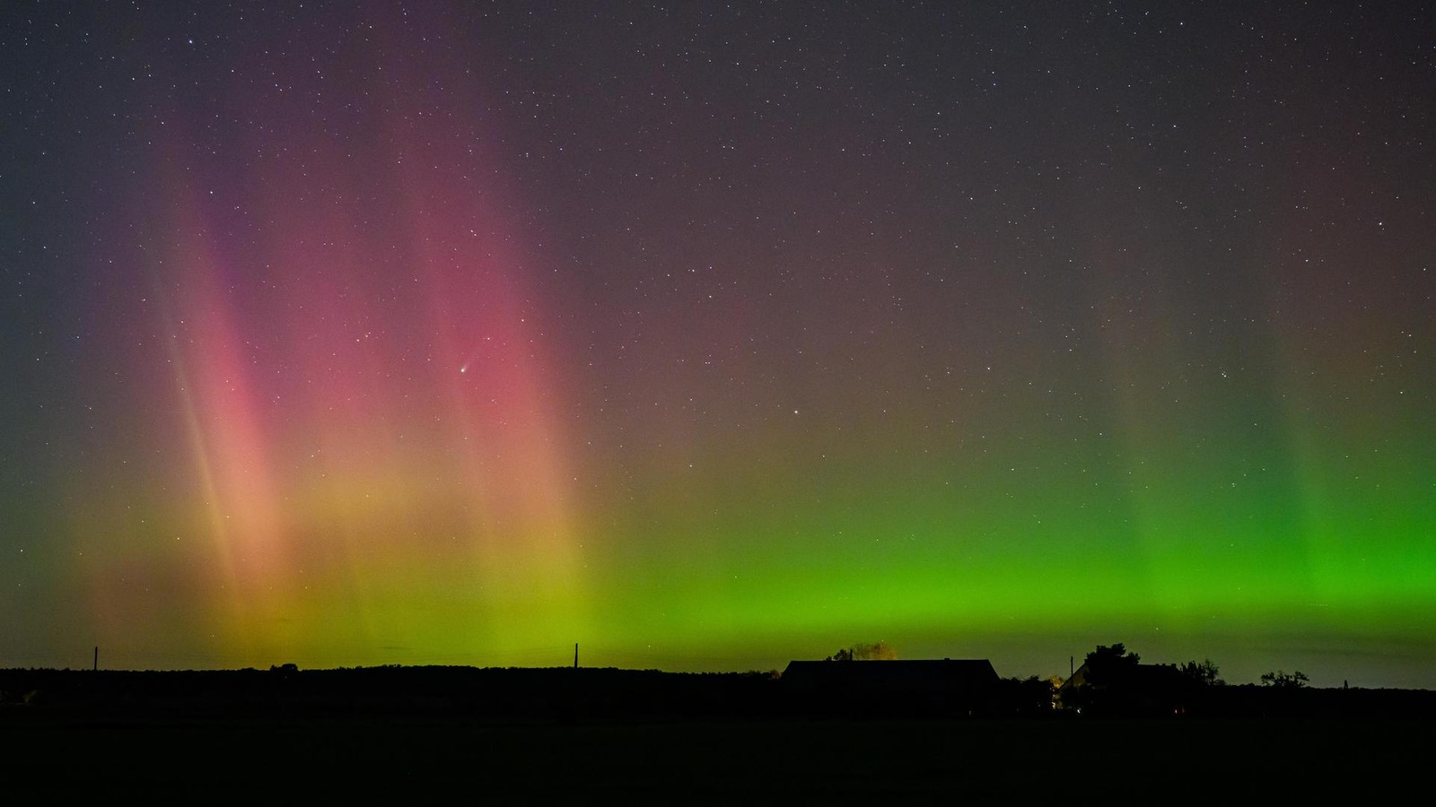 Expertin verrät, wie die Chancen stehen