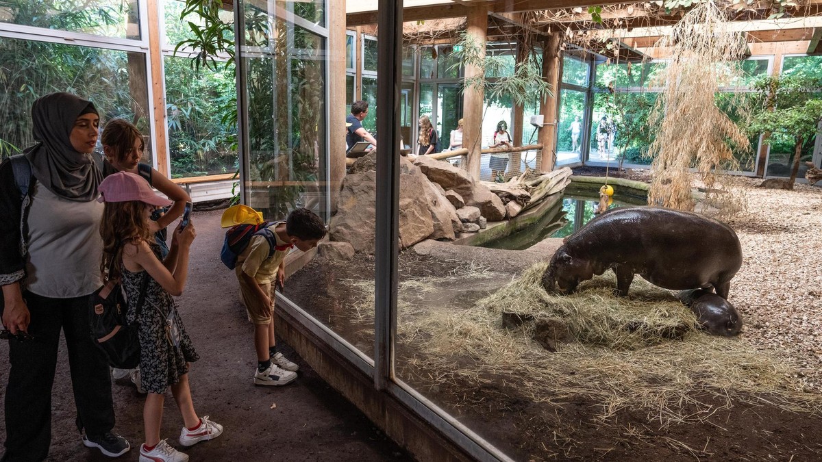 Erhaltungszucht von Tieren im Zoo Duisburg. 