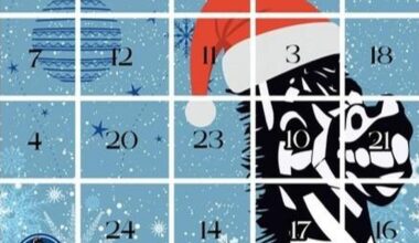 24 Türchen (nicht nur) für MSV-Fans