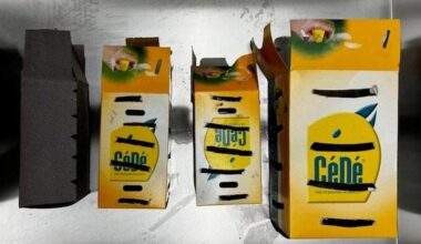 Zoo Duisburg bekommt seltene Wildtiere