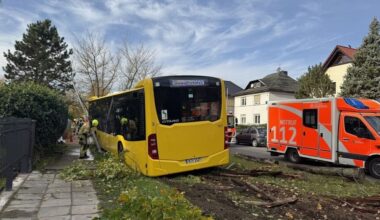Unfälle: BVG-Bus kommt von Straße ab
