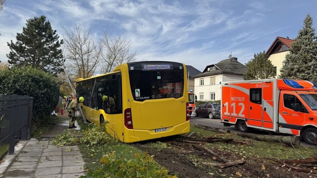 Unfälle: BVG-Bus kommt von Straße ab