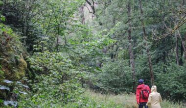 Aktion "Stadt-Land-zu Fuß" startet wieder