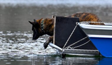 Paderborn: Bein aus dem Habichtsee gehört russischem Mafia-Boss | Regional