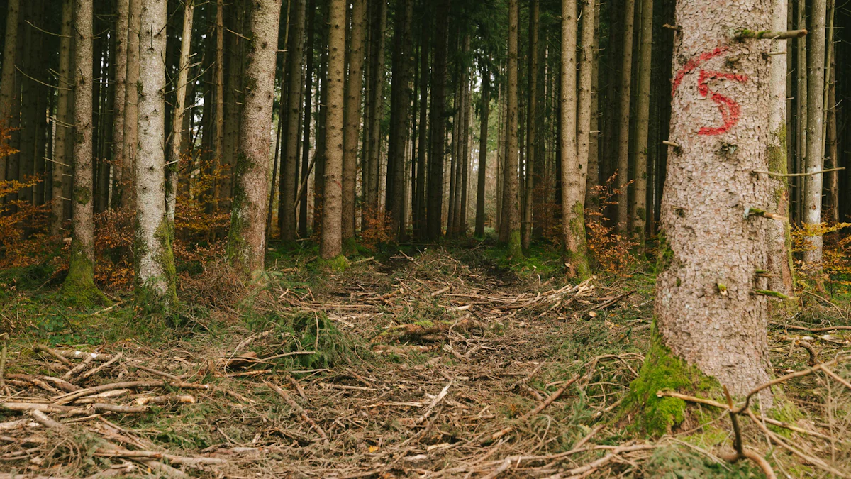 München: Spaziergänger entdeckt Frauenleiche im Forstenrieder Park - München