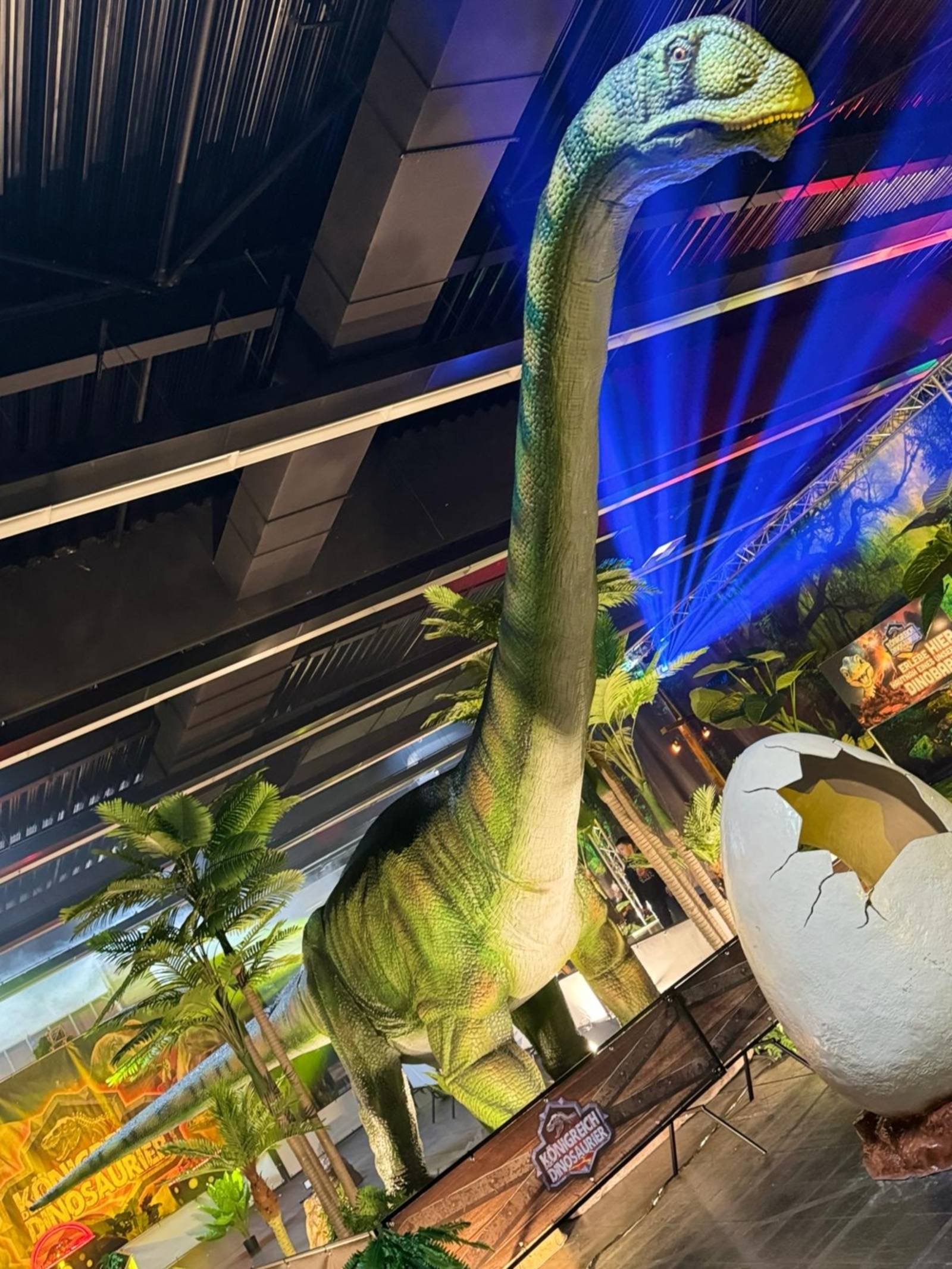 Zu sehen ist ein lebensgroßer Nachbau eines Diplodocus.