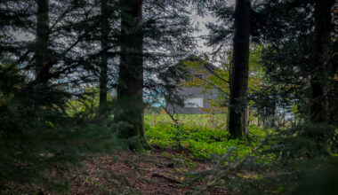 Zerstückelte Leiche in Rickenbach: Wird der Fall vom Bundesgerichtshof neu aufgerollt? - Rickenbach