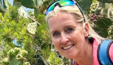 ­­Frau aus Müllheim infiziert sich mit seltenem Toskana-Virus – erster Fall an Helios-Klinik-Standort - Müllheim