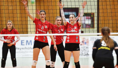 Die Black Forest Volleys unterliegen Wiesbaden nach schwacher Teamleistung mit 1:3 - VC Offenburg