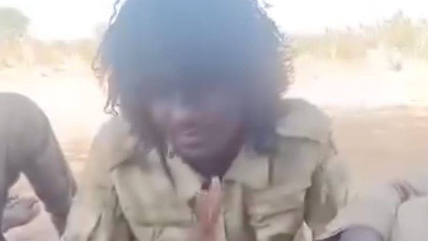 Sudan: RSF-Kämpfer prahlen mit Gräueltaten | Politik