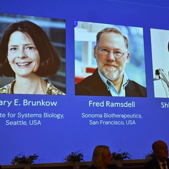 Nobelpreise 2025 - Medizin