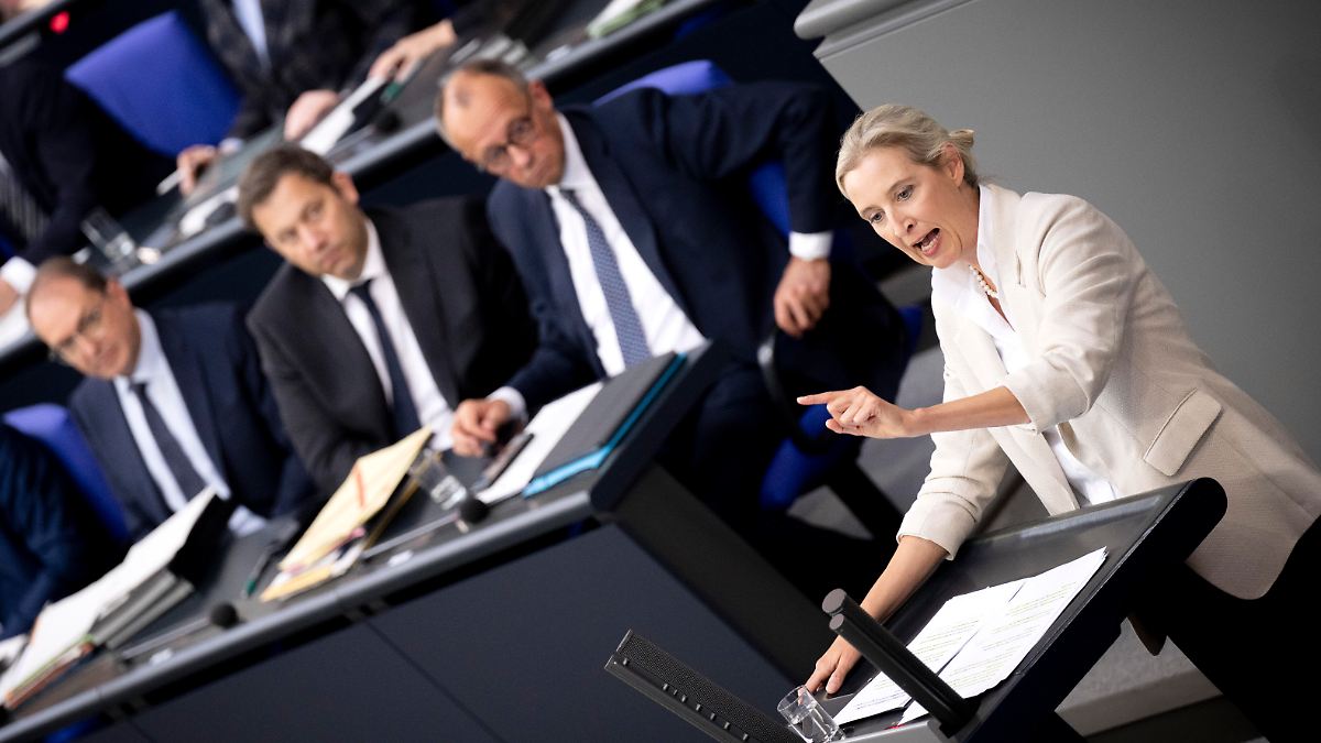 Brandmauer-Dilemma der Union: Deutschland droht schlimmstenfalls die Unregierbarkeit