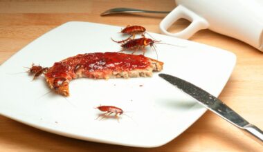 Ungesunde Raumluft: Kakerlaken verbreiten auch Gifte und Allergene