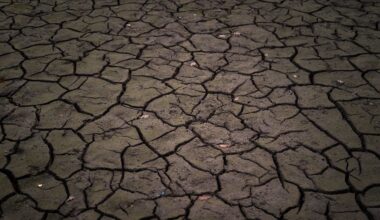 Zeichen auf "Klimakollaps": UN: Erde steuert auf 2,8 Grad Erwärmung zu