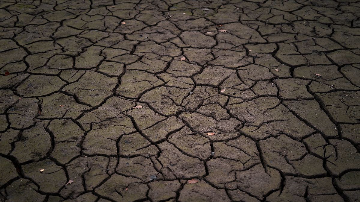 Zeichen auf "Klimakollaps": UN: Erde steuert auf 2,8 Grad Erwärmung zu