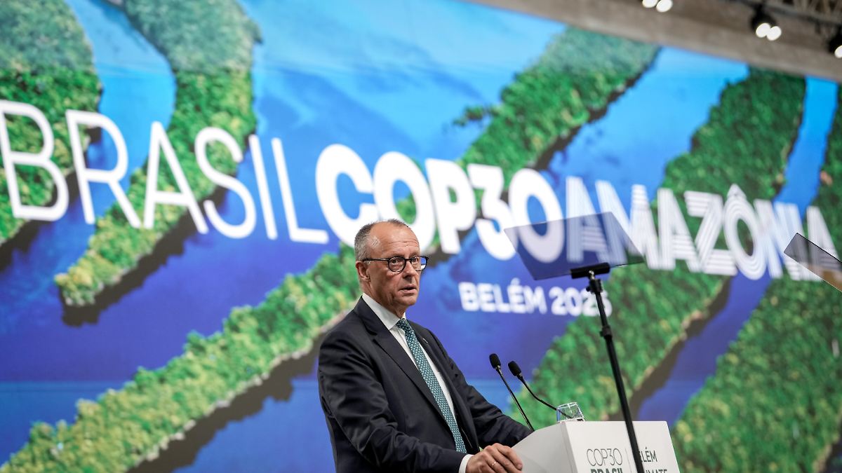 Wirtschaft als Schlüssel: Merz will "namhaften Betrag" für Tropenschutz geben