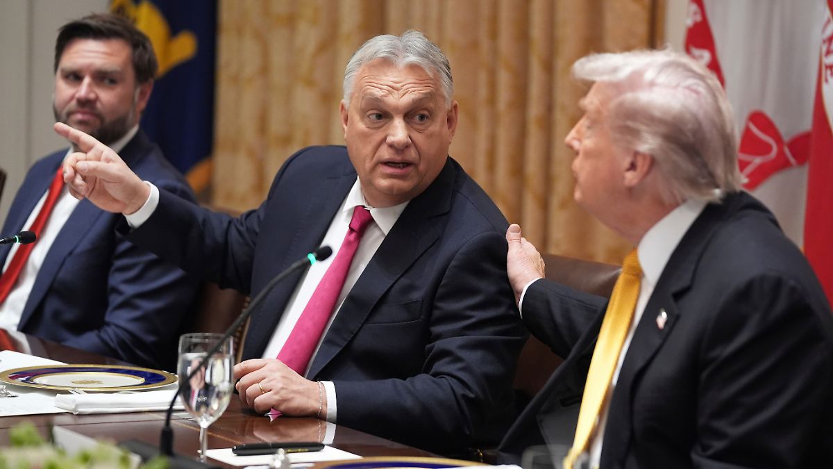 Lieferungen aus Russland: Orban klopft Trump etwas weich beim Thema Öl