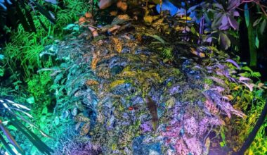 Kiel am Wochenende: Events für Studenten