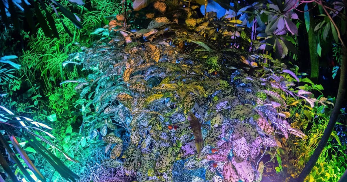 Kiel am Wochenende: Events für Studenten