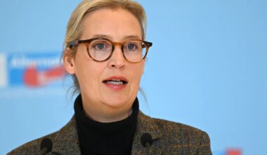 Berlin: Weidel kritisiert Russlandreise von AfD-Abgeordneten - Politik