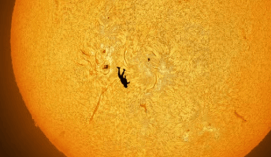 Skydiver vor Sonne: Andrew McCarthy gelingt spektakuläres Foto