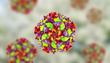 Kinderlähmungs-Gefahr: Polio-Erreger in Hamburger Abwasser gefunden | Regional