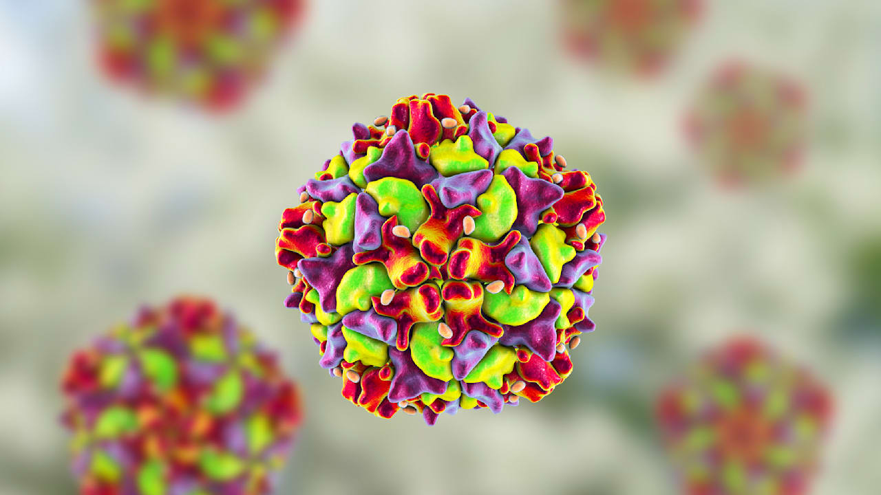 Kinderlähmungs-Gefahr: Polio-Erreger in Hamburger Abwasser gefunden | Regional