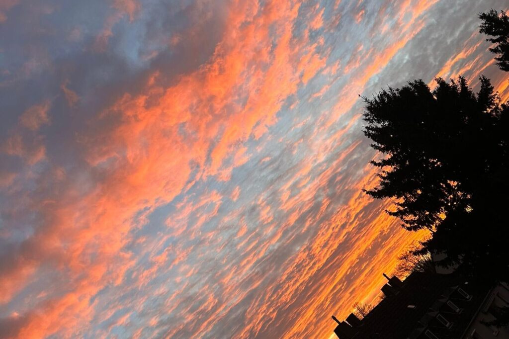 Fotos von Leserinnen und Lesern, die den bunten Sonnenaufgang über Dortmund zeigen.