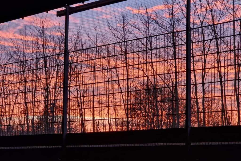 Fotos von Leserinnen und Lesern, die den bunten Sonnenaufgang über Dortmund zeigen.