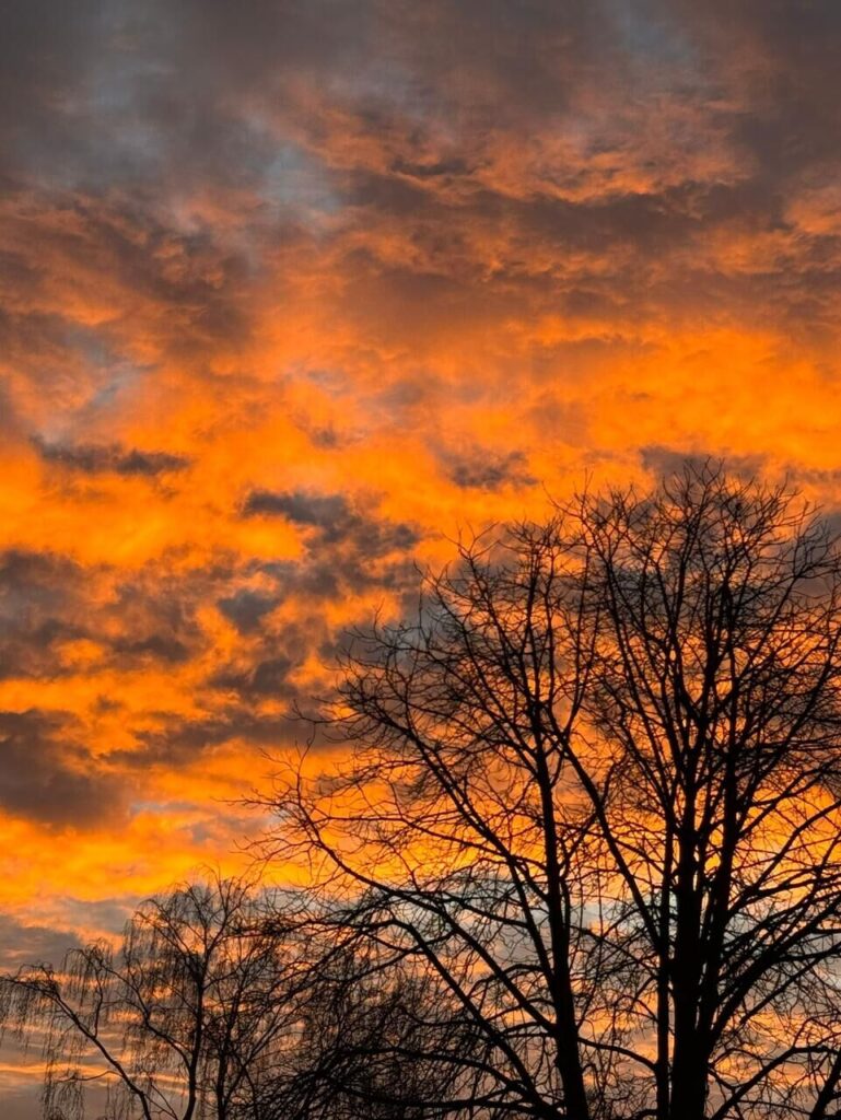 Fotos von Leserinnen und Lesern, die den bunten Sonnenaufgang über Dortmund zeigen.