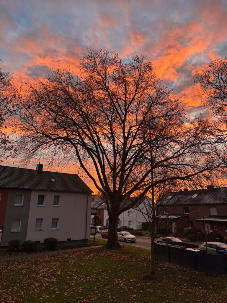 Fotos von Leserinnen und Lesern, die den bunten Sonnenaufgang über Dortmund zeigen.