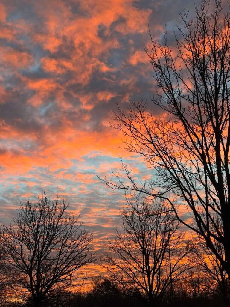 Fotos von Leserinnen und Lesern, die den bunten Sonnenaufgang über Dortmund zeigen.
