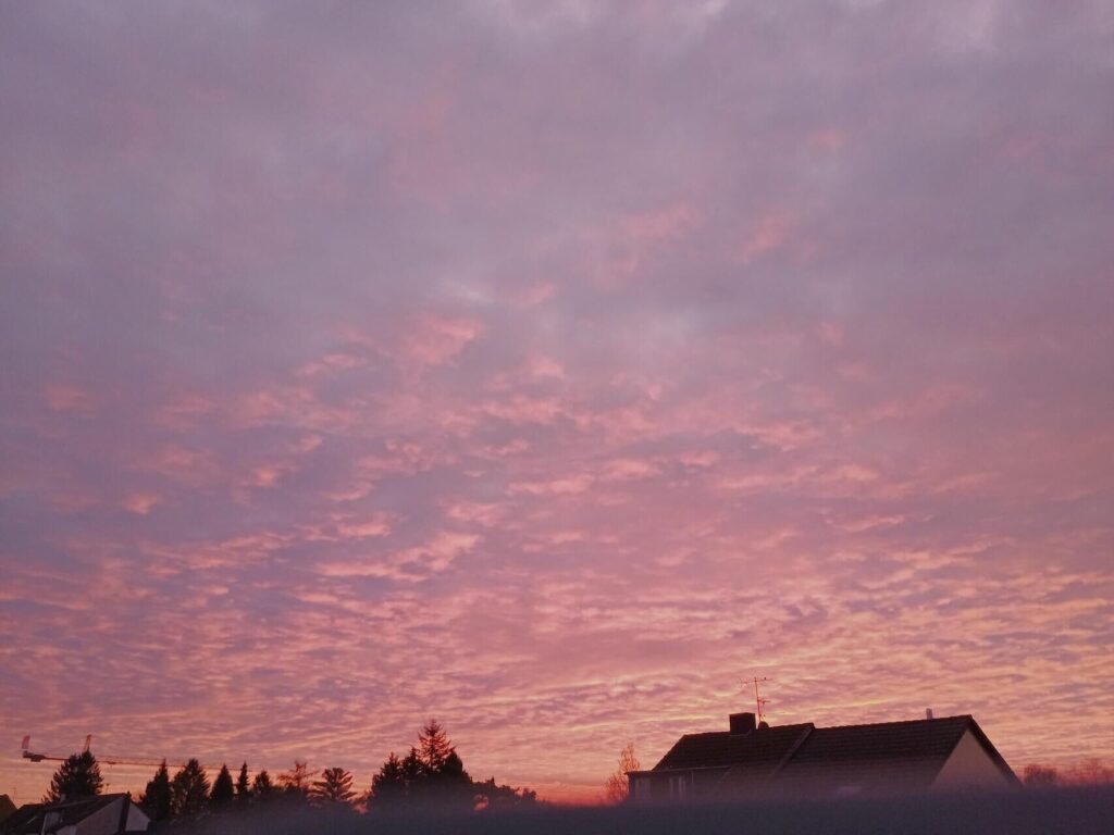 Fotos von Leserinnen und Lesern, die den bunten Sonnenaufgang über Dortmund zeigen.