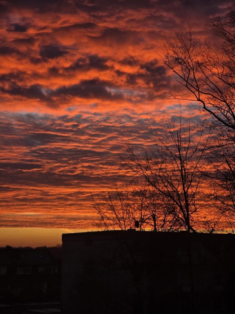 Fotos von Leserinnen und Lesern, die den bunten Sonnenaufgang über Dortmund zeigen.