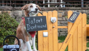 Unsere Tipps für die Messe