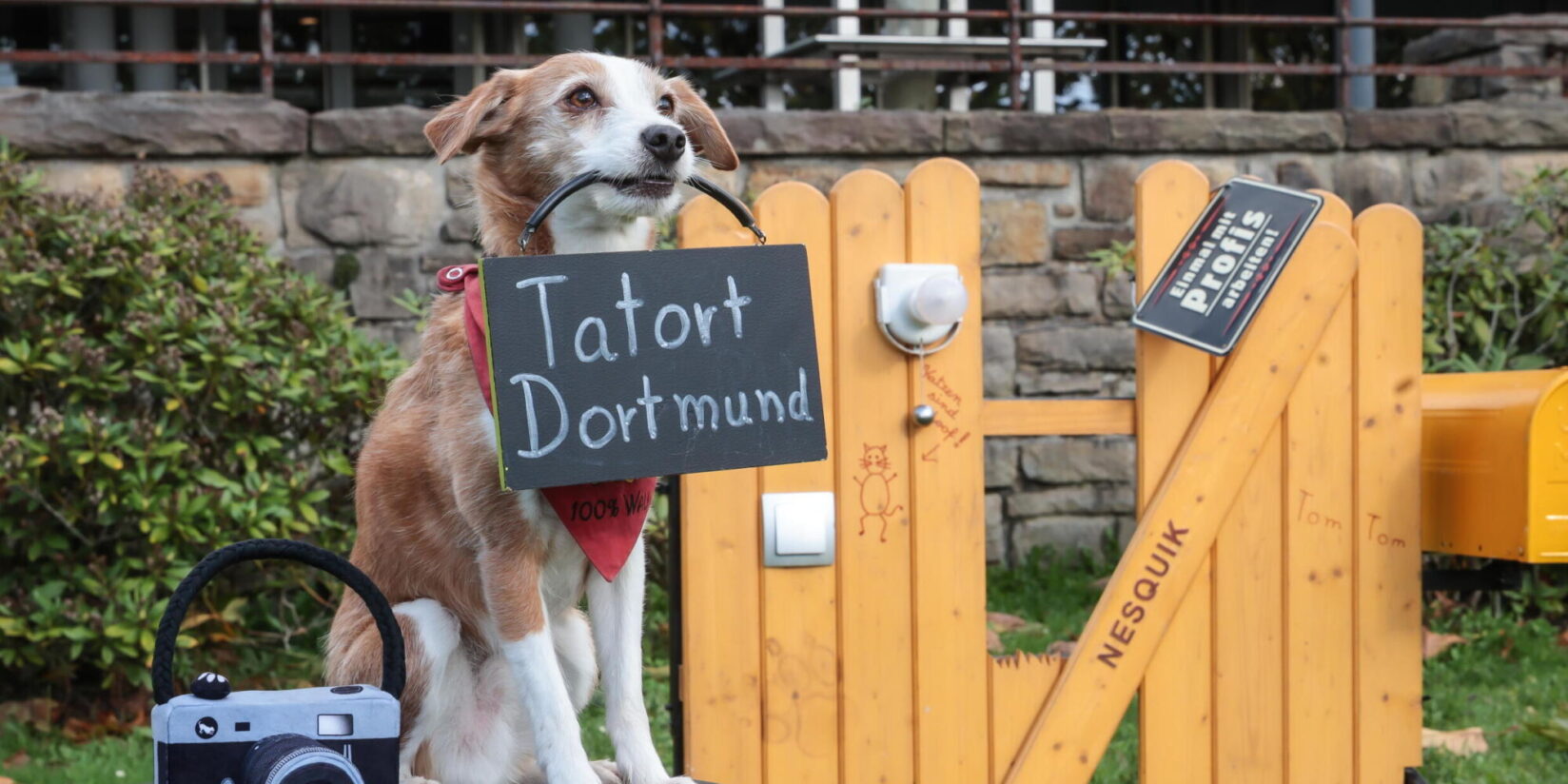 Unsere Tipps für die Messe