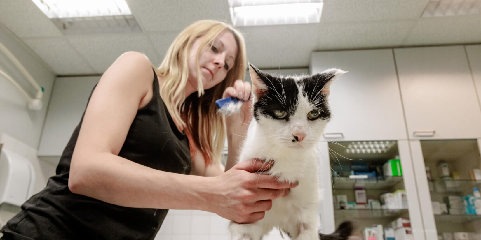 Fundtiere Oer-Erkenschwick: Tierheim Castrop übernimmt 2026