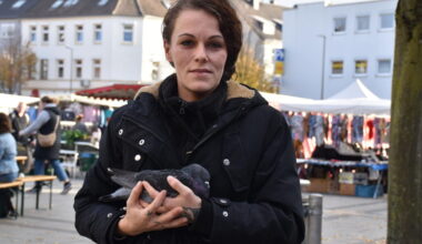 Tauben verenden in Huckarde – „Womöglich mit Absicht vergiftet“