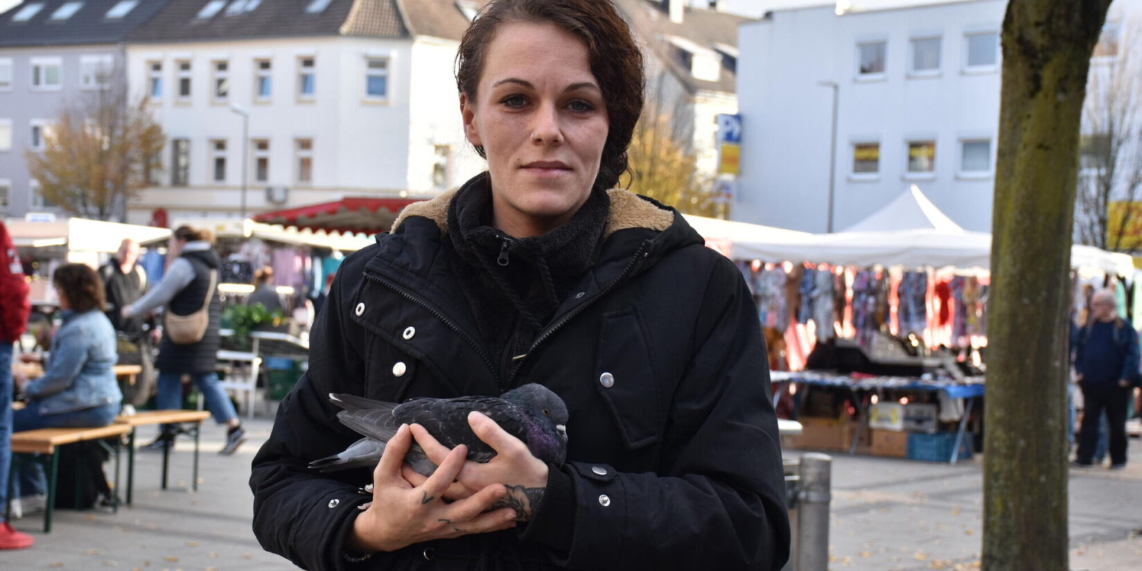 Tauben verenden in Huckarde – „Womöglich mit Absicht vergiftet“