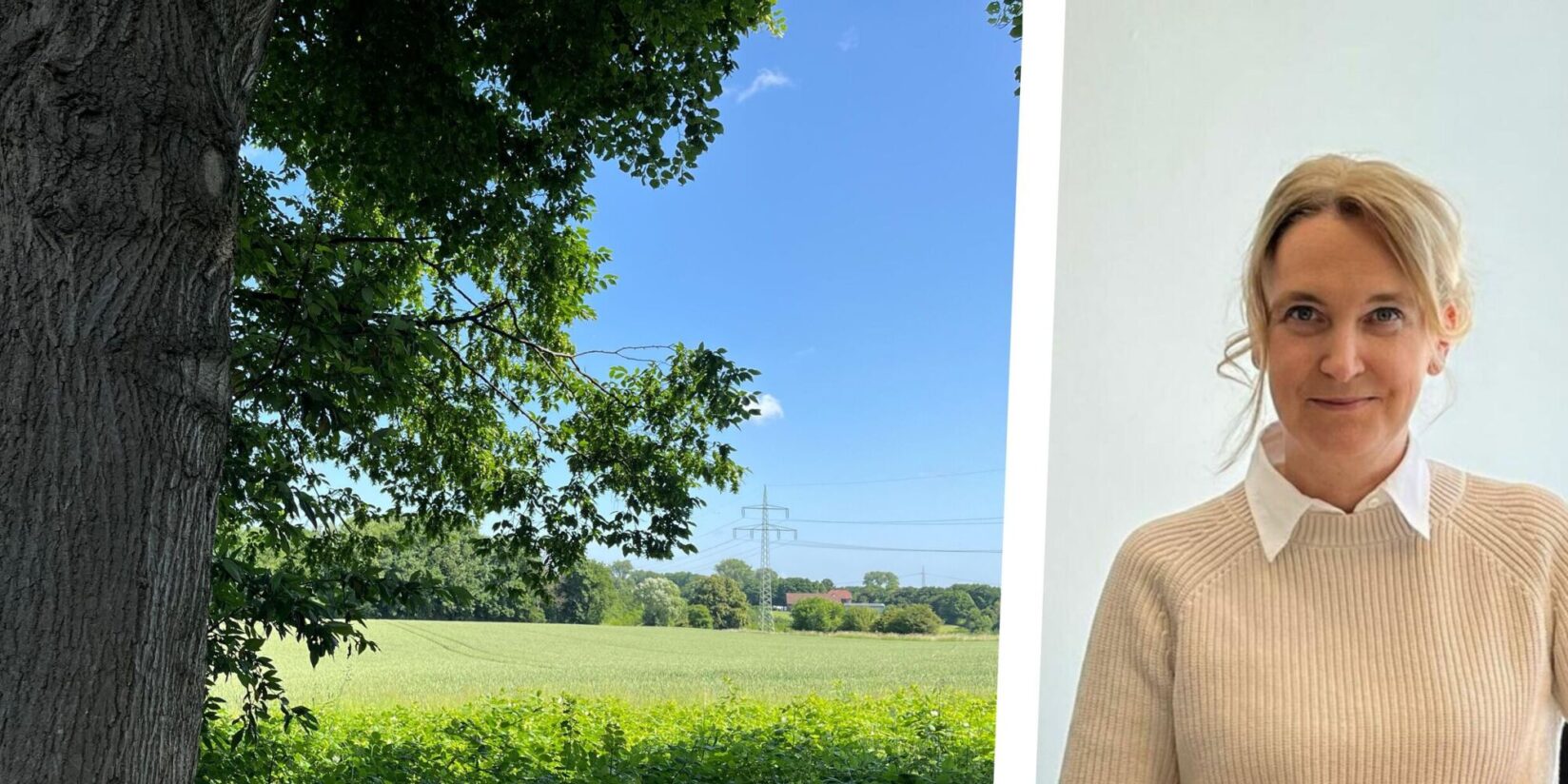 Diskussionen um Pläne für neue Gesamtschule 