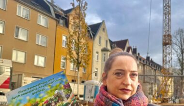 Baustelle in Hörde bedroht Jungbäume