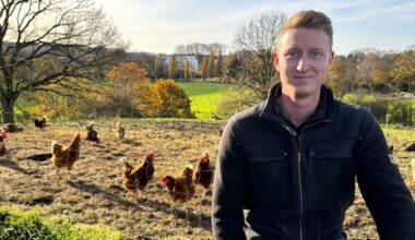 Bedrohung für Weihnachtsgans und Eier?