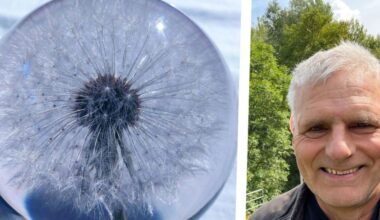 Mehr Aufmunterung im trüben November gewünscht