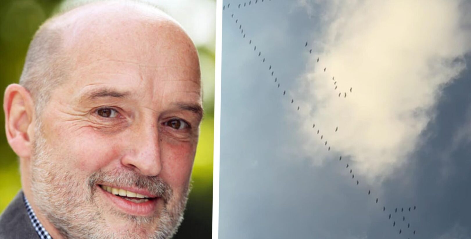 Darum sind die Zugvögel so spät unterwegs