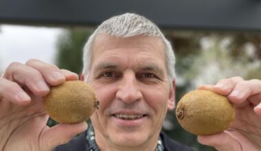 Kiwi-Sensation in Dortmund:  Jürgen Utecht ernetet 401 Früche